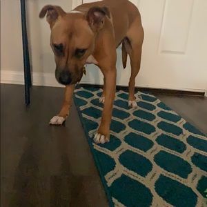 Meet your Posher, Kyla